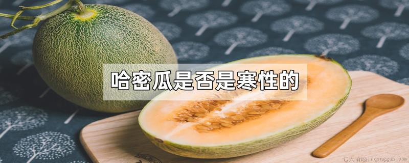 哈密瓜是否是寒性的