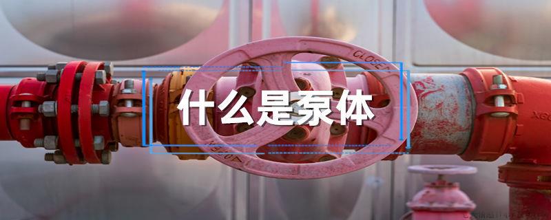 什么是泵体