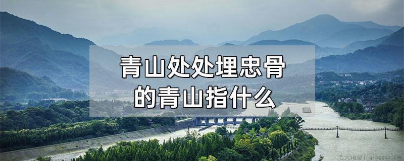 青山处处埋忠骨的青山指什么