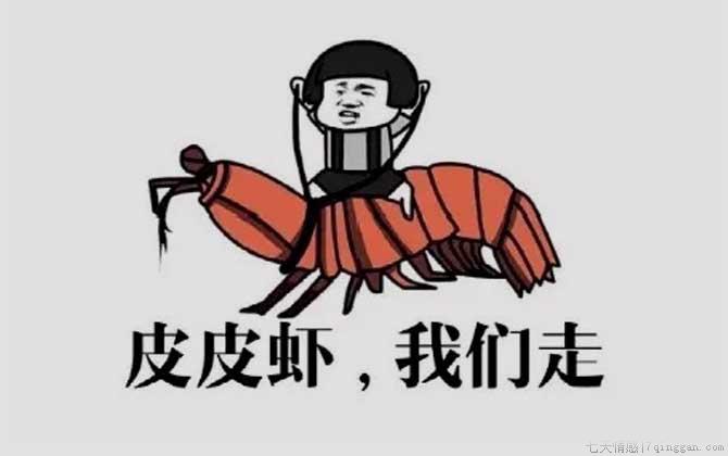 皮皮虾我们走是什么梗