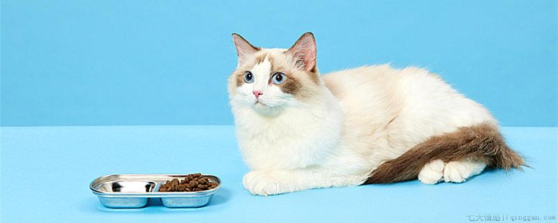 猫一年生几窝比较好