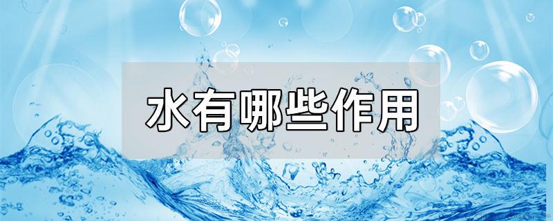 水有哪些作用