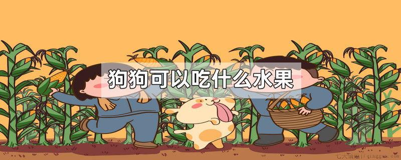 狗狗可以吃什么水果