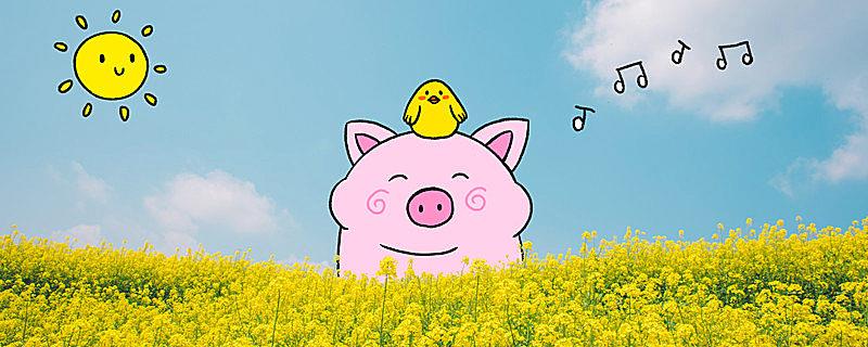 过年为什么杀猪