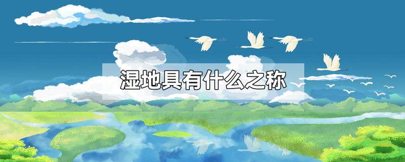 湿地具有什么之称