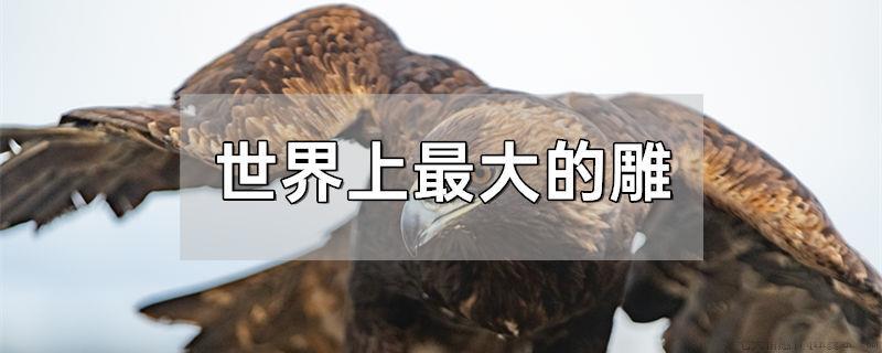 世界上最大的雕
