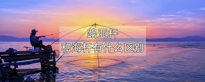 路亚杆和海杆有什么区别