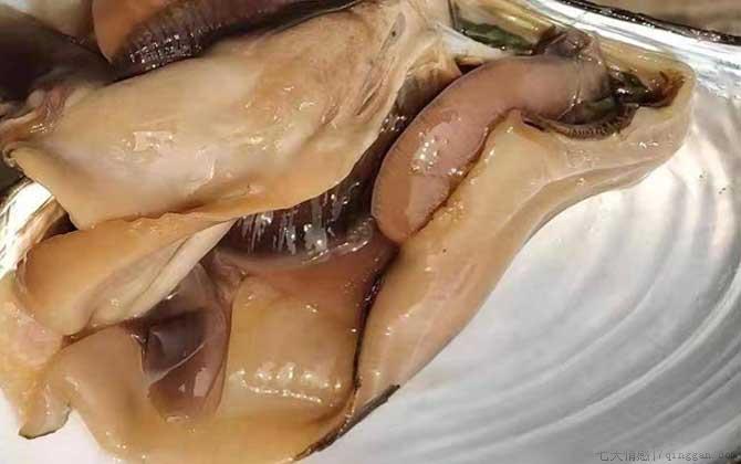 河蚌怎么处理