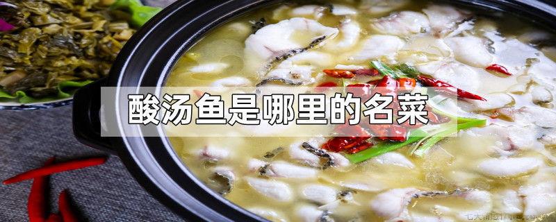 酸汤鱼是哪里的名菜
