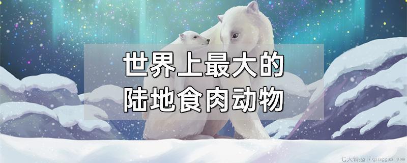 世界上最大的陆地食肉动物