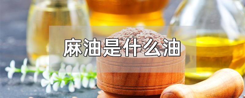 麻油是什么油