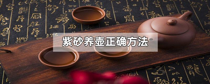 紫砂养壶正确方法