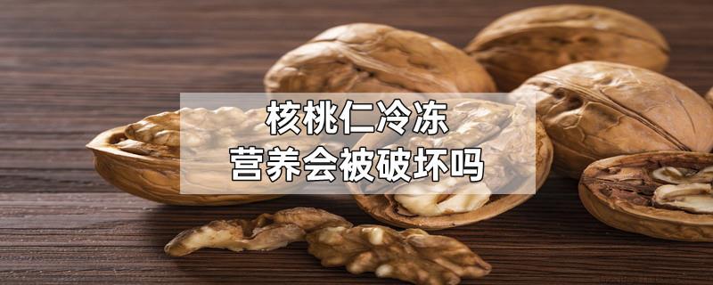 核桃仁冷冻营养会被破坏吗