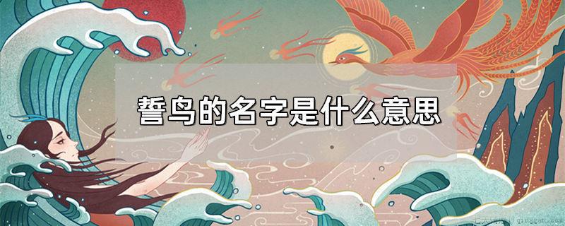 誓鸟的名字是什么意思