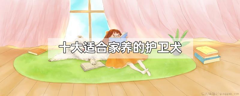 十大适合家养的护卫犬