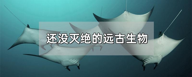 还没灭绝的远古生物
