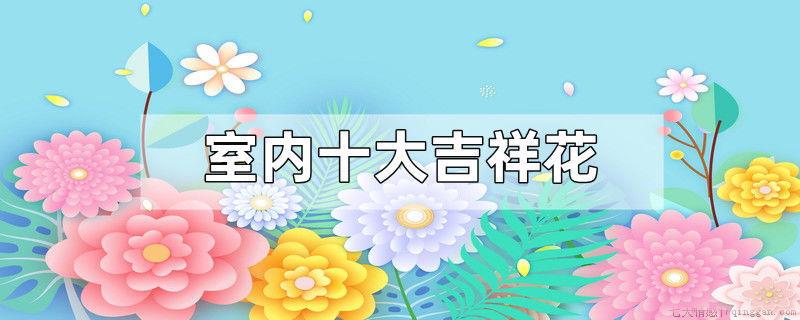 室内十大吉祥花
