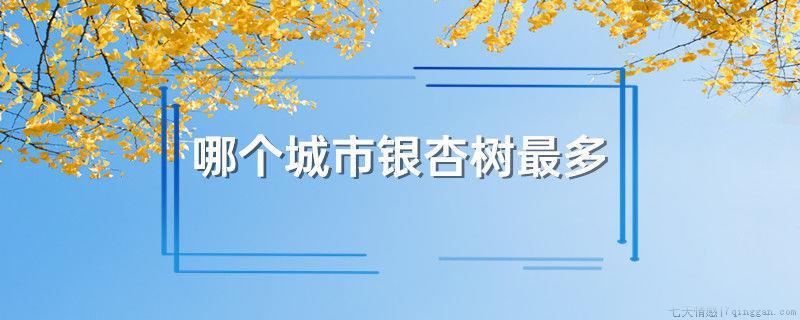 哪个城市银杏树最多