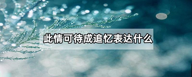 此情可待成追忆表达什么