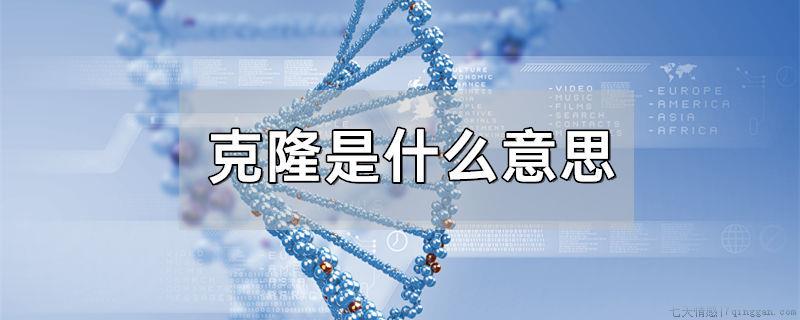 克隆是什么意思