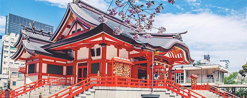 旅日代表是什么意思