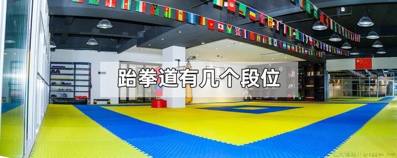 跆拳道有几个段位