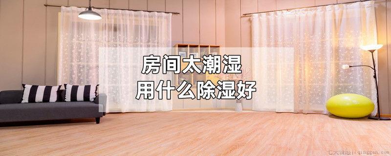 房间太潮湿用什么除湿好