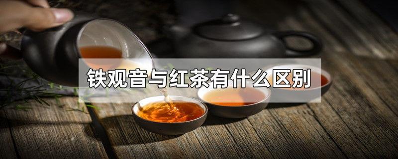 铁观音与红茶有什么区别