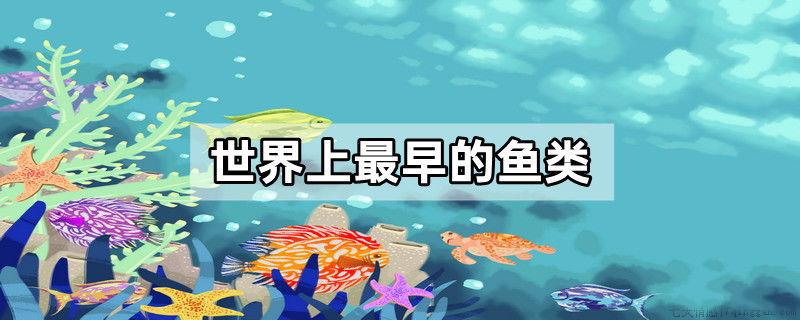 世界上最早的鱼类