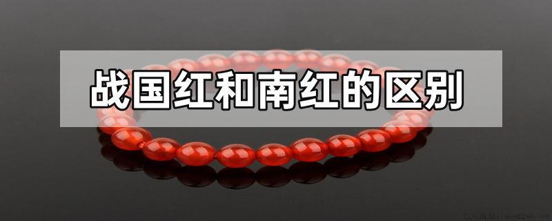战国红和南红的区别