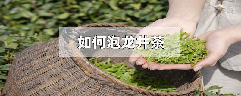 如何泡龙井茶