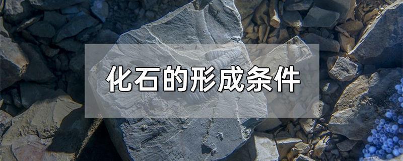 化石的形成条件