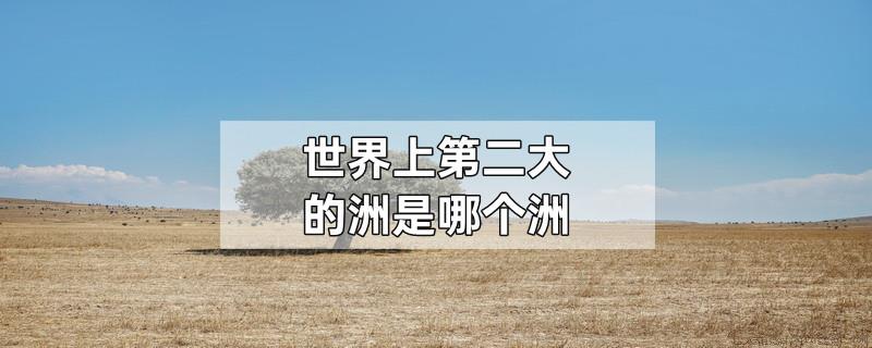 世界上第二大的洲是哪个洲
