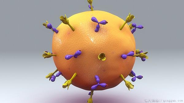 hiv阳性是什么意思