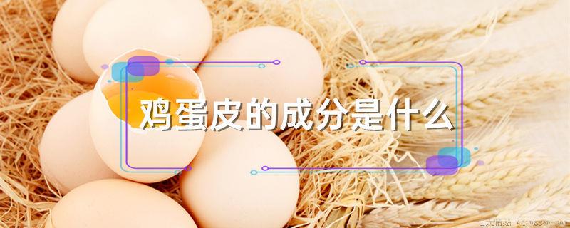 鸡蛋皮的成分是什么
