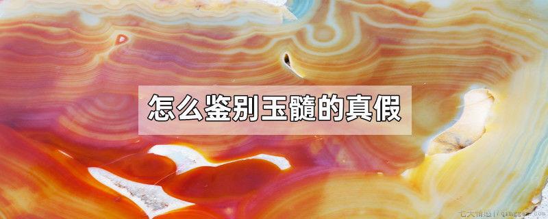 怎么鉴别玉髓的真假