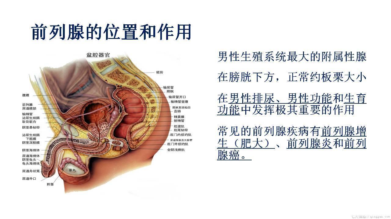 前列腺囊肿怎么治疗