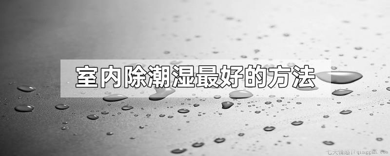 室内除潮湿最好的方法