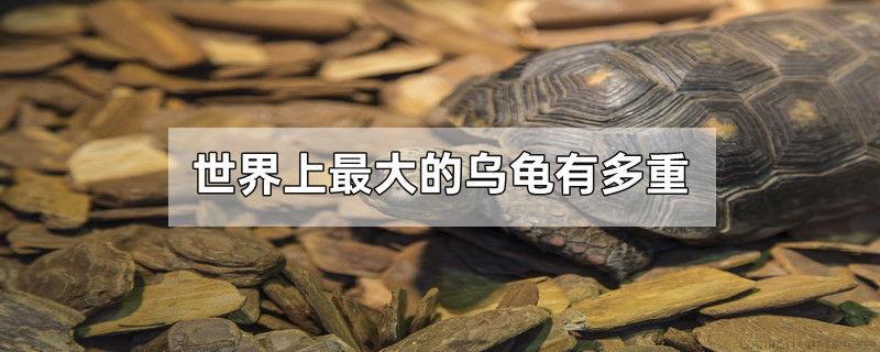 世界上最大的乌龟有多重