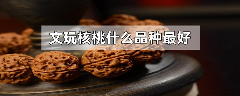 文玩核桃什么品种最好