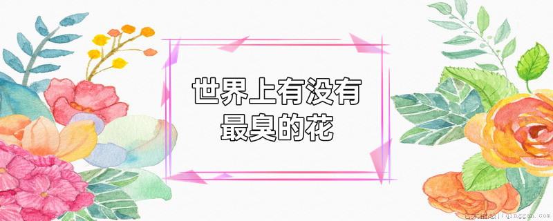 世界上有没有最臭的花