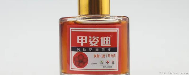 甲姿迪一天涂几次