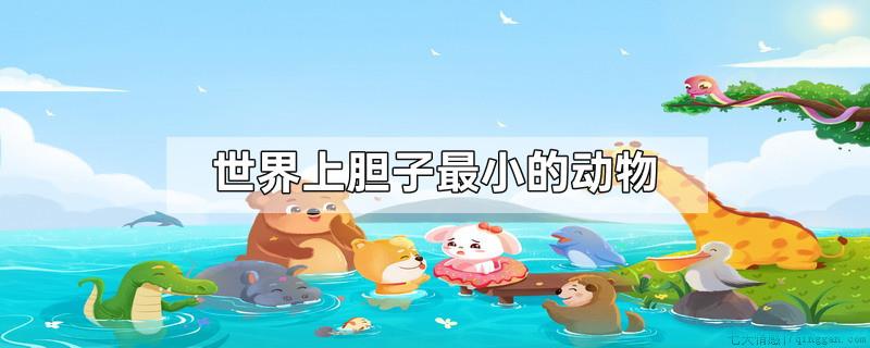 世界上胆子最小的动物