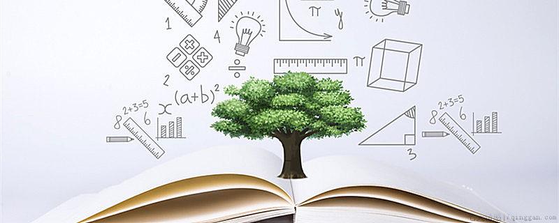 一级学科是什么意思