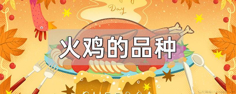 火鸡的品种
