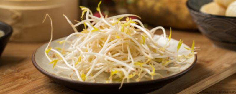 豆芽的寓意象征