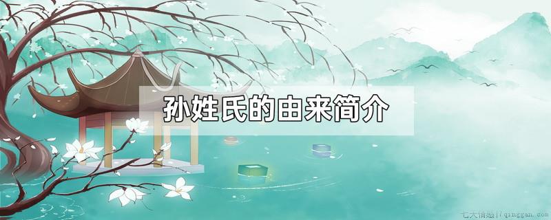 孙姓氏的由来简介