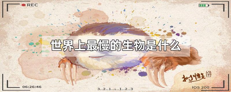 世界上最慢的生物是什么