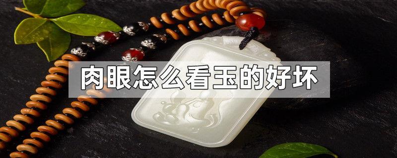肉眼怎么看玉的好坏