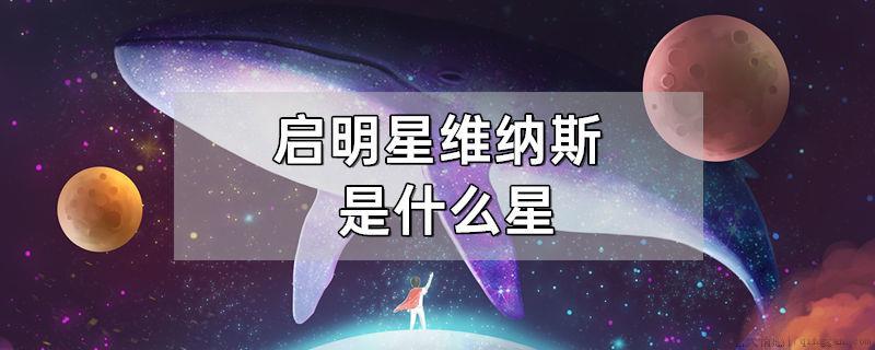 启明星维纳斯是什么星